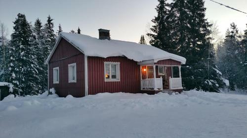 Elch-lodge