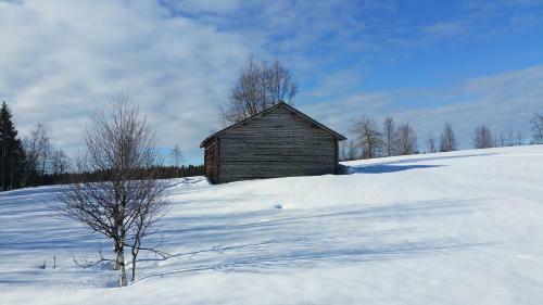 Elch-lodge