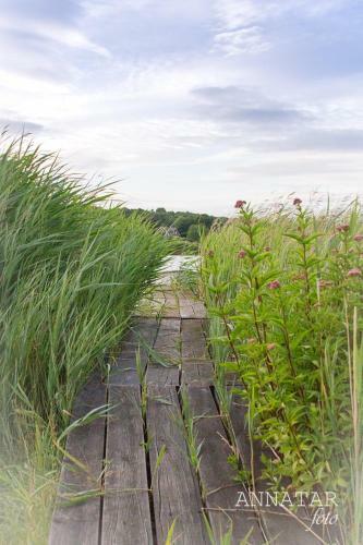 Hostal Pensionat J�rnavik