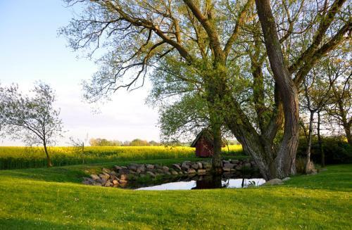Bed & Breakfast Nils Holgerssong�rden