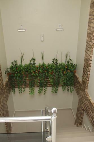 Hotel Acai