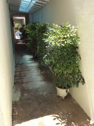 Apartamento Residencial Vila Vit�ria