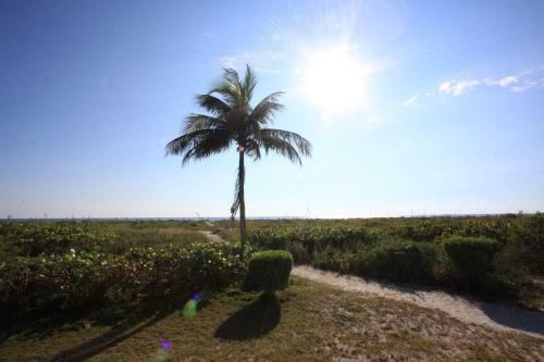 Tropical Winds Beachfront Motel And Cottages