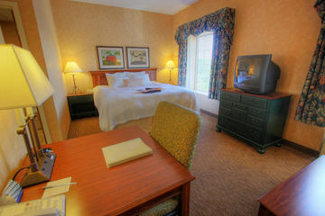 Hotel Hampton Inn & Suites Williamsburg Square