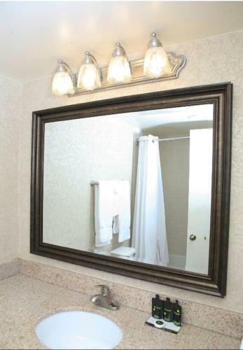 Hotel Senate Luxury Suites