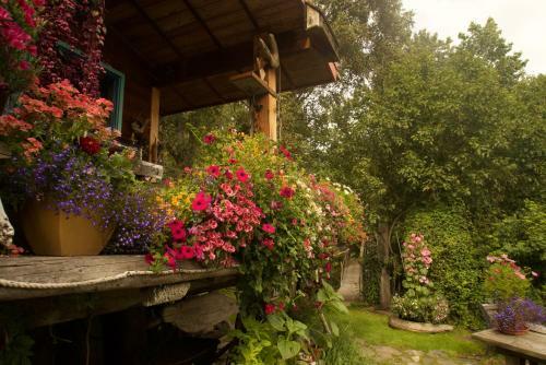 Brigitte's Bavarian Bed Und Breakfast