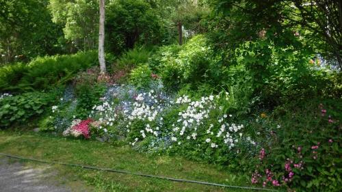 Brigitte's Bavarian Bed Und Breakfast
