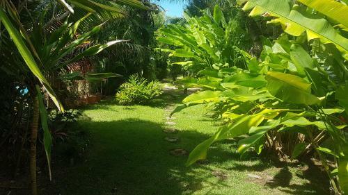 Casa Praia Do Forte