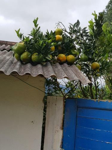 Bed & Breakfast Recanto Pedra Menina