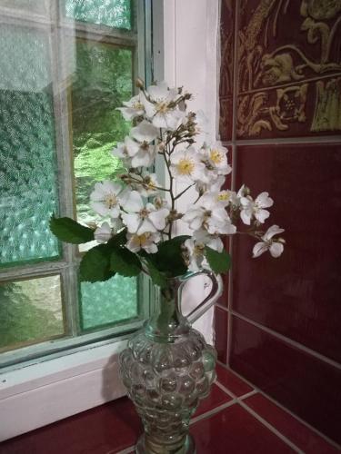 Apartamento Haveh�jegaard