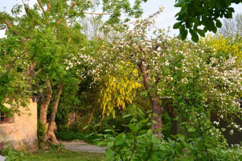 Apartamento Haveh�jegaard