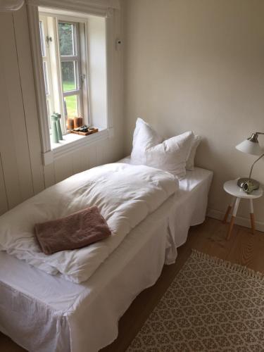 Bed & Breakfast Alsbrogaard