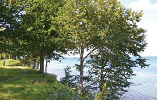 Three-bedroom Holiday Home In Dronningmolle