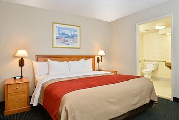 Comfort Inn San Diego Hotel Circle Seaworld Area