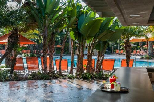 Hotel Paradise Point Resort & Spa
