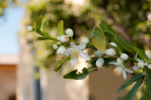 Agroturismo Il Giardino Del Sole