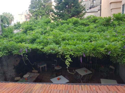 Apartamento Affittacamere Il Colombino