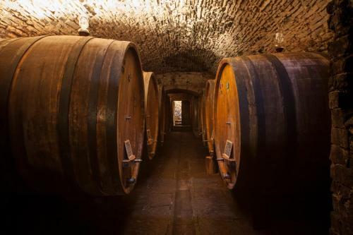 Agroturismo Castello Della Paneretta