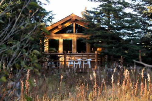 Lodge Moose Cabin
