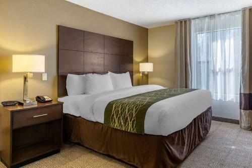 Hotel Comfort Inn Clinton