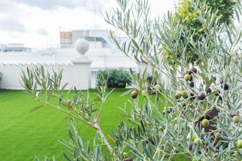 Bed & Breakfast 200 Rooms & Terrace