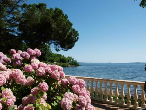Giardini Del Lago / Maris