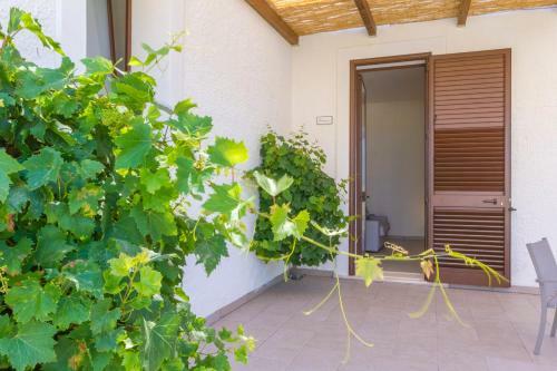 Hostal Il Pino Dello Stagnone