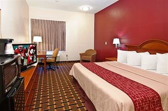 Hotel Red Roof Inn - Brandon