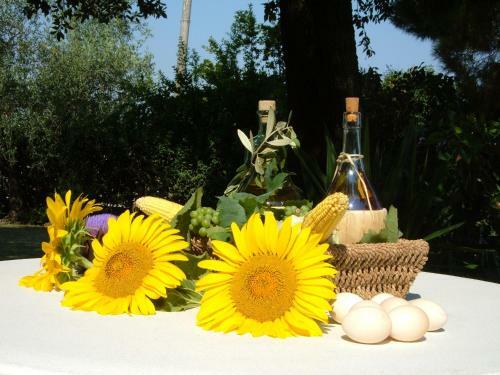 Agroturismo Agriturismo Da Carignano