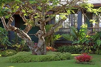 Hotel Lumeria Maui