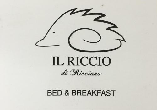 Bed & Breakfast Il Riccio Di Ricciano