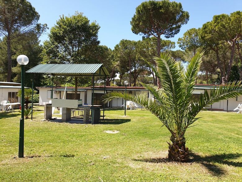 Aurelia Club