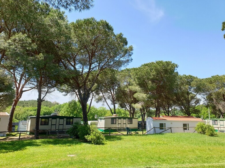 Aurelia Club