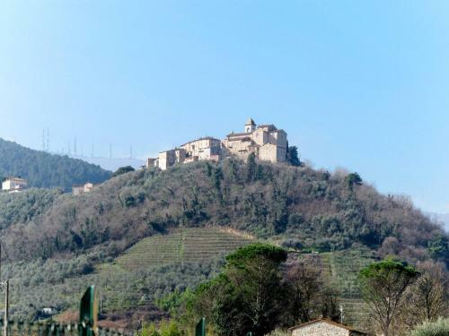 Tenuta Celeste 405s
