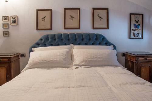 Joseph Apartments Luxury Label