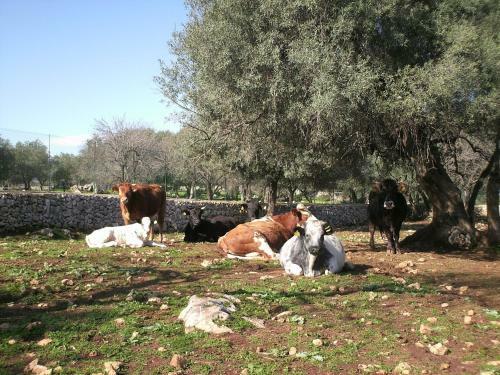 Agroturismo Fattoria Terra E Libert�