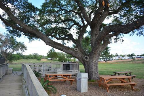 Hotel Executive Inn & Suites Cuero