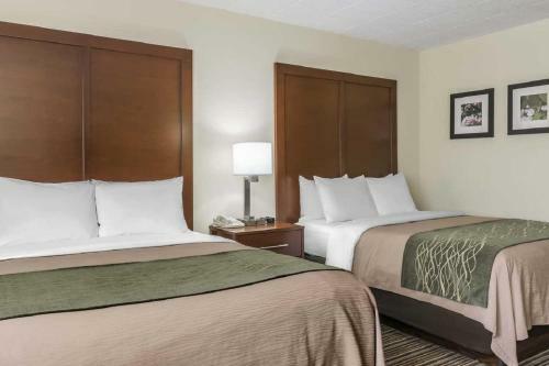 Hotel Comfort Inn - Pocono Mountain