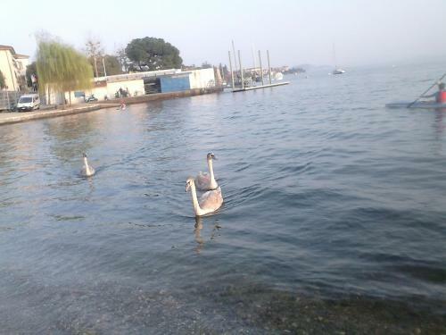 B&B Il Castello Lago Maggiore