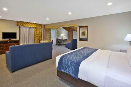Hotel Comfort Inn Grand Blanc