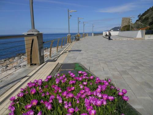 Apartamento Villa Delle Ciliegie
