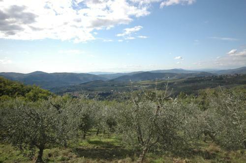 Dicomano Apartment Sleeps 6 Pool