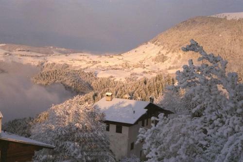 Hotel Albergo Al Pino