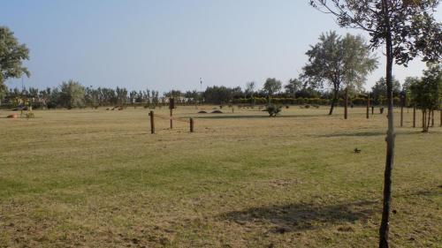 Apartment In Eraclea Mare 25171