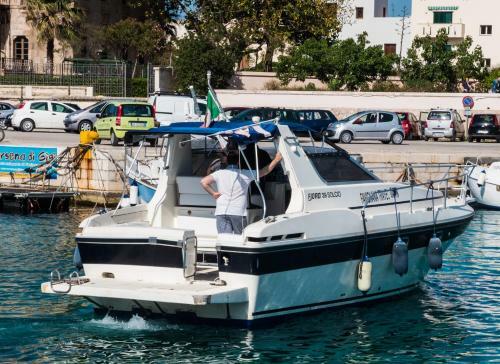 Natante Fjord Solcio 39