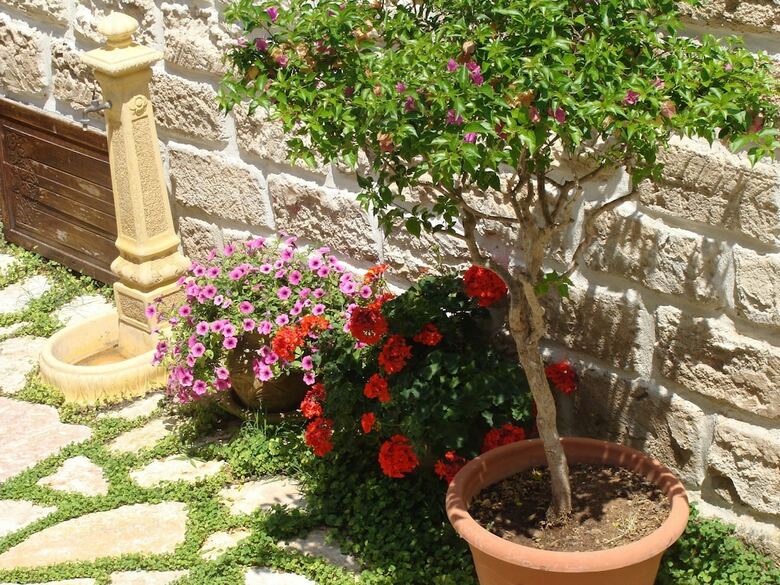 Hostal Guest House Al Gattopardo