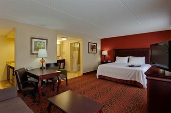 Hotel Hampton Inn Rochester-webster