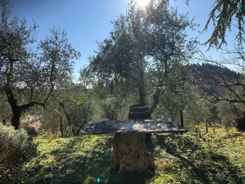 Agroturismo Crocino In Chianti
