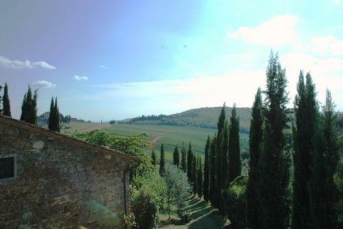 Il Fico In Chianti