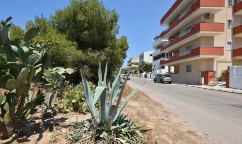 Apartamento Appartamento Via Salento Gallipoli